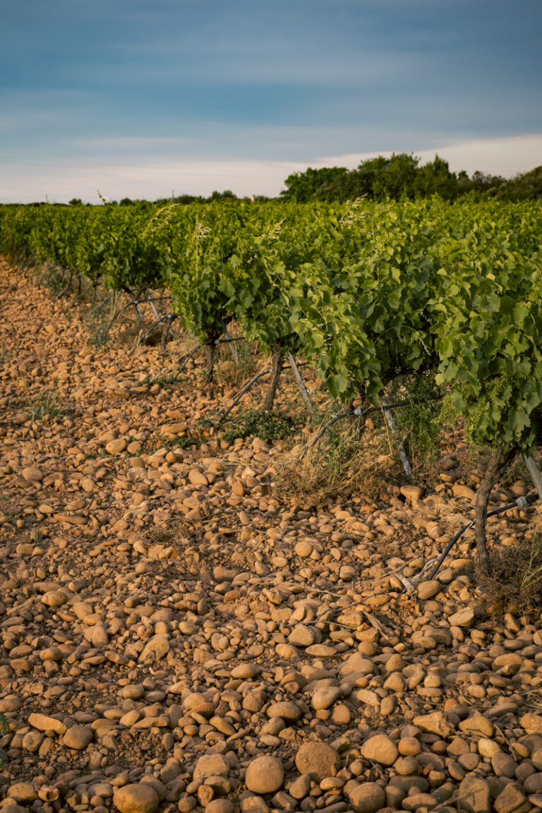 Belle d’Argence (36)