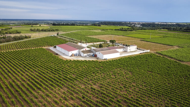 Belle d’Argence (52)