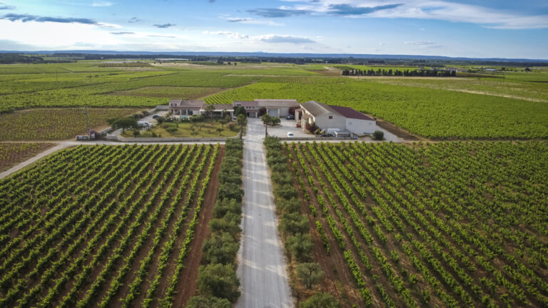 Belle d’Argence (55)