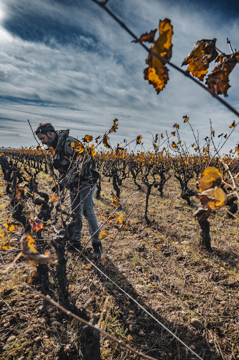 Domaine-Belle-d-Argence-(19)