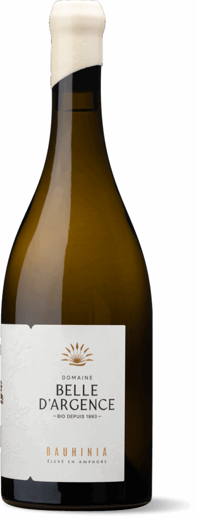 Bauhinia-blanc-AOP Clairette de Bellegarde - Belle d'argence